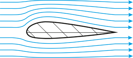 profil_strom-01